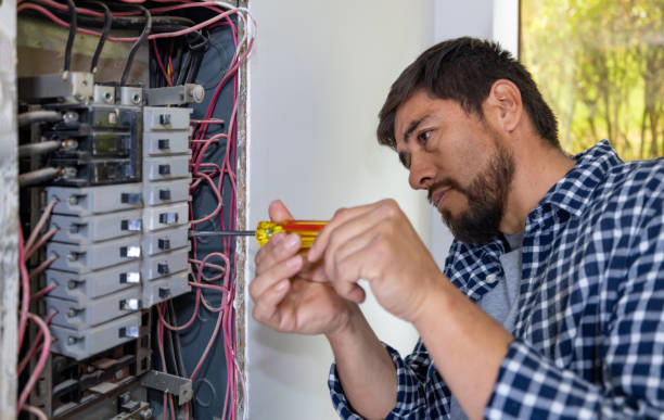 Best Electrical System Inspection  in Jacksboro, TN